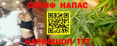 гидра Берёзовский