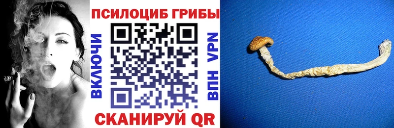 Псилоцибиновые грибы Magic Shrooms  Новомосковск 
